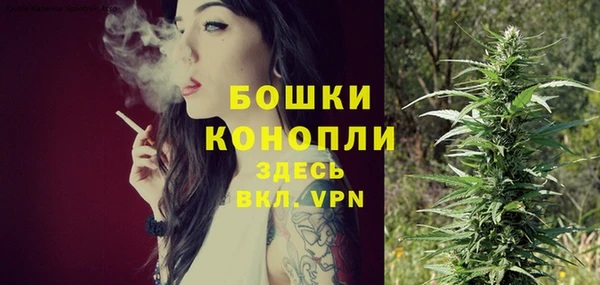 амф Белоозёрский