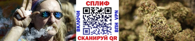 Купить закладки  Углич  Марихуана сатива 